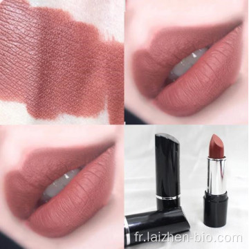 Rouge à lèvres maquillage professionnel multicolore